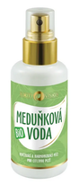 Meduňková voda 100 ml Purity Vision